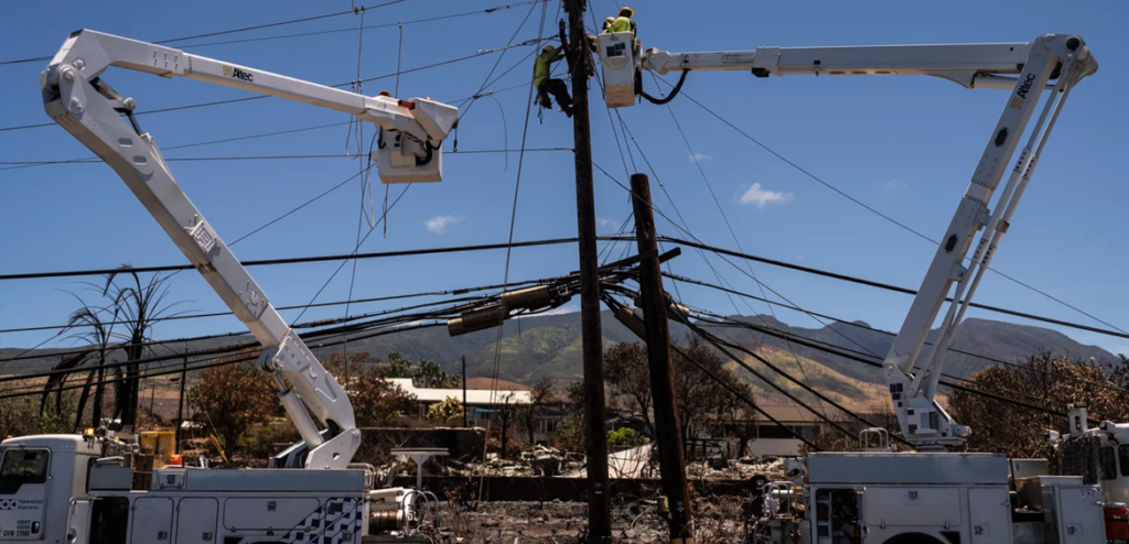 Electrical Poles in Mau‘i