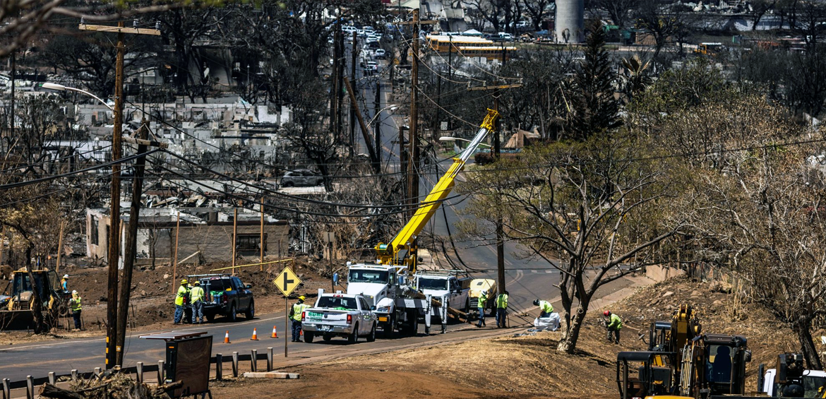 Power Lines in Mau‘i